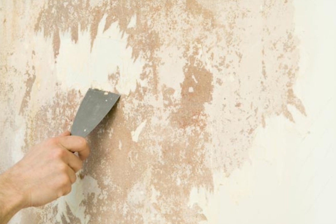 Hiện tượng kiềm muối trên màng sơn